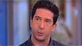 David Schwimmer houdt doorstart Friends tegen